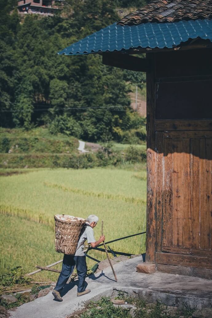 国庆去哪儿玩，最新推荐黔北小森林：梧桐山