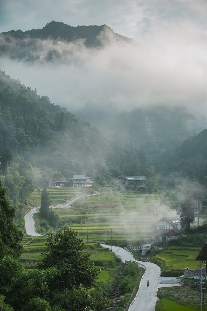 国庆去哪儿玩，最新推荐黔北小森林：梧桐山