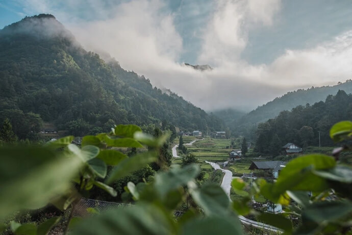 国庆去哪儿玩，最新推荐黔北小森林：梧桐山