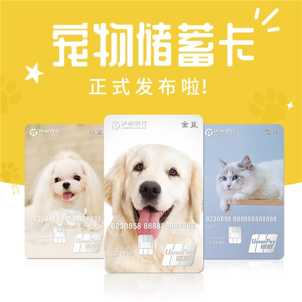 泸州银行推出首张专属宠物储蓄卡