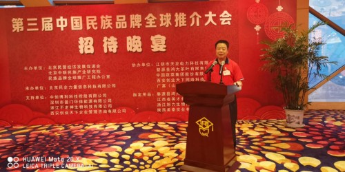 蔡昌晋受邀中国民族品牌全球推介盛会 解读“中”字文化 展现”中“字魂