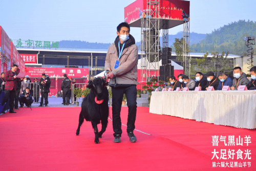 中国·重庆第六届大足黑山羊美食文化旅游节盛大开幕