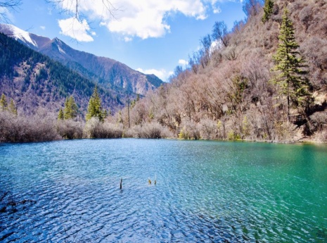 陶醉人文美景，相约熊猫家园，爱上净土阿坝