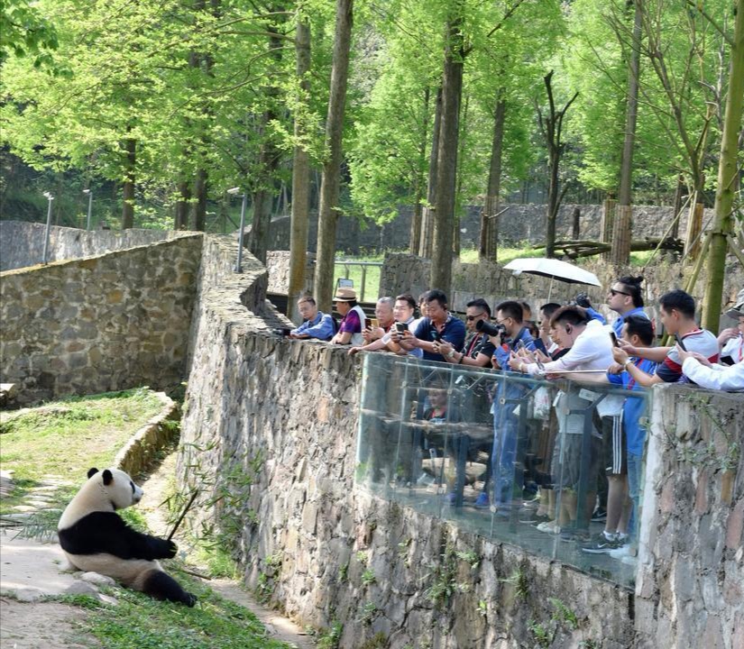 成都“雪山下的公园城市”国庆假期十条畅游之旅