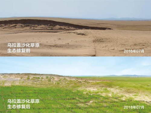 小草数字技术保护山水林田湖草沙的生物多样性