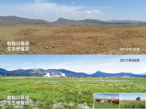 小草数字技术保护山水林田湖草沙的生物多样性