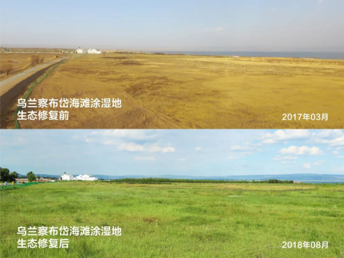 小草数字技术保护山水林田湖草沙的生物多样性