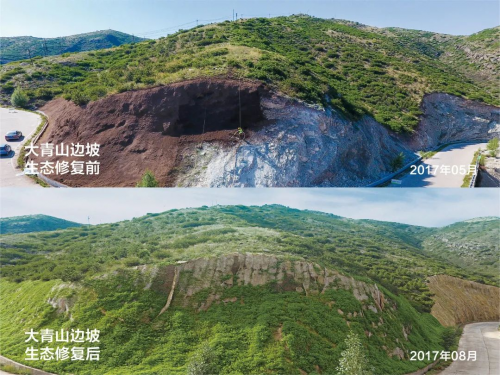 小草数字技术保护山水林田湖草沙的生物多样性