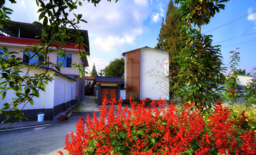 找准落笔点绘好乐居图斑竹园街道人居环境整治引发骊园村蝶变