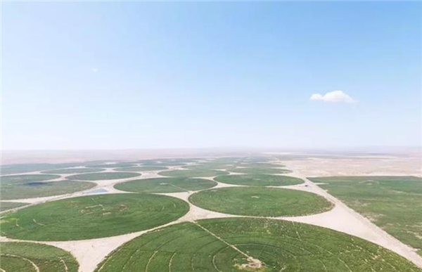 穿越大半个中国的沙漠实践，邀你种下希望之树，为沙漠充“植”