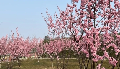 原味中国年-百花闹新春-马戏嘉年华|音乐百花谷等你来