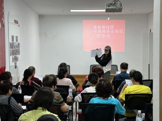蓝谷地社区组织2024年社区保障资金项目评审会 顺利开展