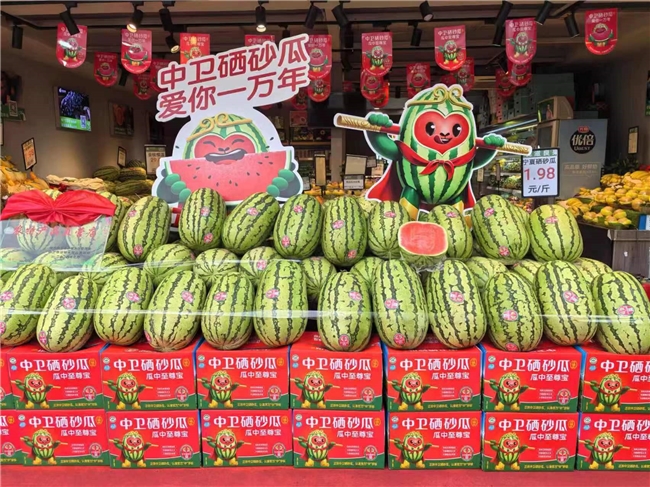 中卫市硒砂瓜城市推介会在成都市成功举办