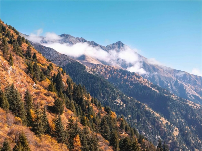 达古冰川之旅
