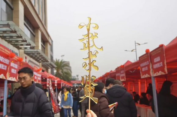 百企千岗——2025年武侯区春风行动专场招聘会现场直击