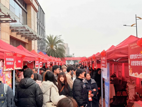 百企千岗——2025年武侯区春风行动专场招聘会现场直击