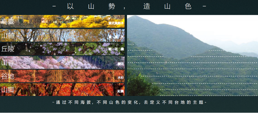 “人道我居城市里，我疑身在万山中。”I成都·中交龙樾台山居赋I