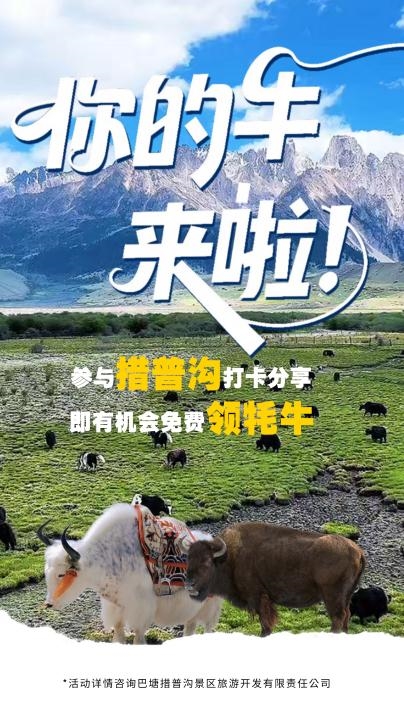 措普沟景区露营季狂欢启幕！8月1日邀您共赴自然之约，赢取牦牛豪礼！