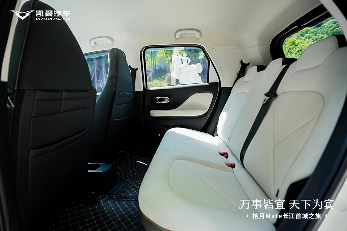 买小车只能将就？拾月Mate安全舒适全都要