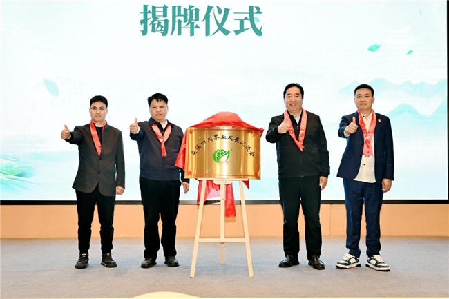 双遗茶韵漫蓉城，安溪茶脉续新章——2025 安溪铁观音（双世遗）成都品鉴会圆满收官