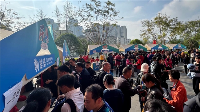 巅峰对决落幕!2026“乐山市商业银行杯” 乒乓球精英邀请赛圆满收官
