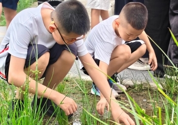 崇州市科协开展湿地探险家·文化与岩石探秘研学活动