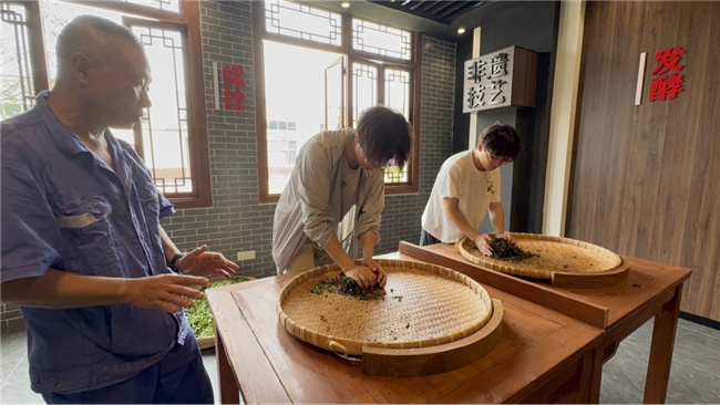 “茶山酒渡”———四川旅游学院“茶山酒渡”非遗文脉传承实践队赴宜宾及都江堰开展社会实践