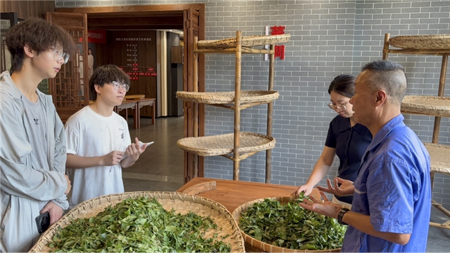 “茶山酒渡”———四川旅游学院“茶山酒渡”非遗文脉传承实践队赴宜宾及都江堰开展社会实践