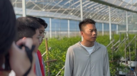 智汇南航，数润简阳  南京航空航天大学学子深入简阳乡村开展五日暑期社会实践