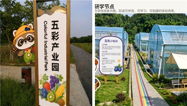 智汇南航，数润简阳  南京航空航天大学学子深入简阳乡村开展五日暑期社会实践
